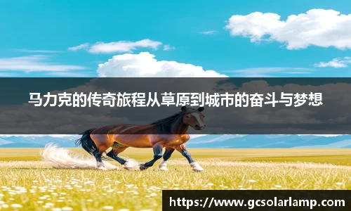 球友会入口